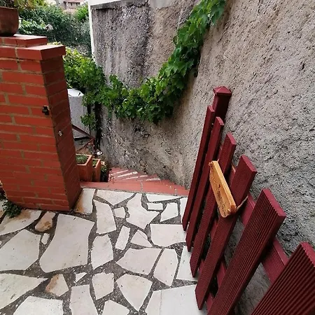 Pati Del Sol *