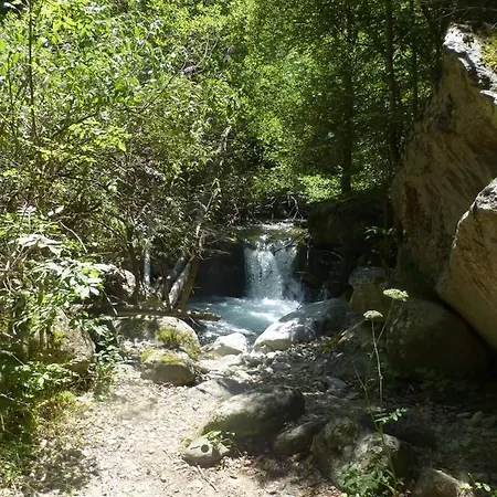 Pati Del Sol * Sahorre