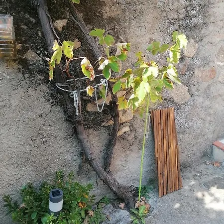 Panzió Pati Del Sol