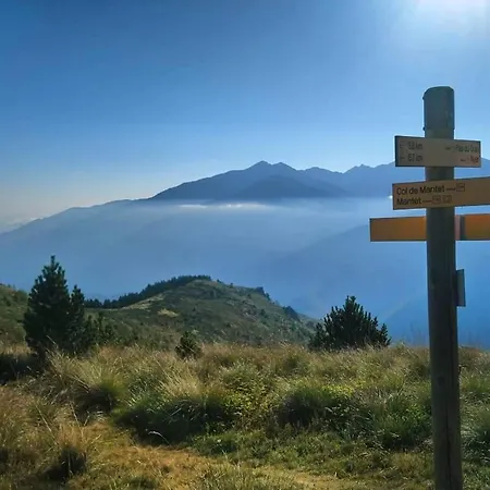 Pati Del Sol