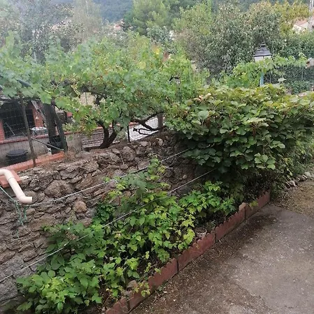 Pati Del Sol *