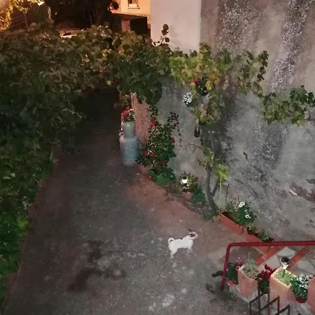Pati Del Sol *