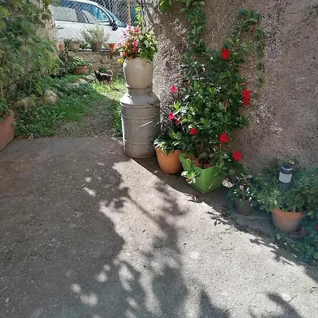 Pati Del Sol Sahorre