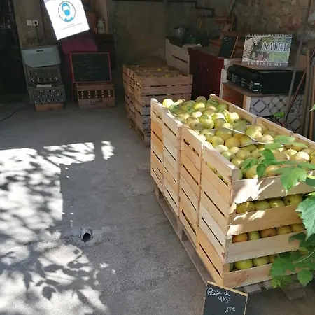 Panzió Pati Del Sol *