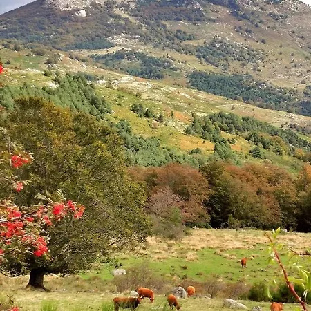 Pati Del Sol